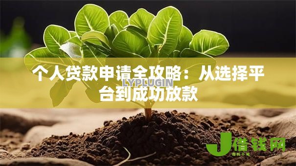 个人贷款申请全攻略:从选择平台到成功放款 个人贷款申请全攻略:从选择平台到成功放款