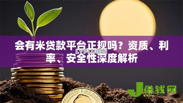 会有米贷款平台正规吗?资质、利率、安全性深度解析 会有米贷款平台正规吗?资质、利率、安全性深度解析
