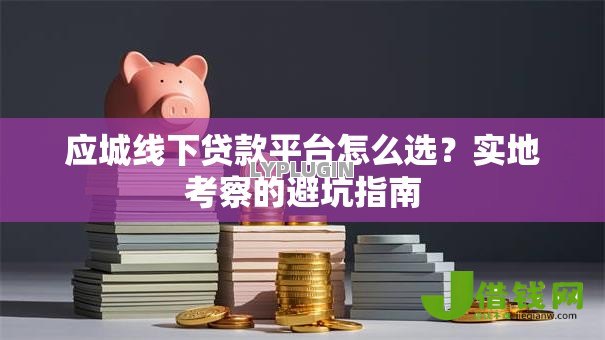 应城线下贷款平台怎么选?实地考察的避坑指南 应城线下贷款平台怎么选?实地考察的避坑指南