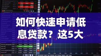 如何快速申请低息贷款?这5大平台优势解析 如何快速申请低息贷款?这5大平台优势解析