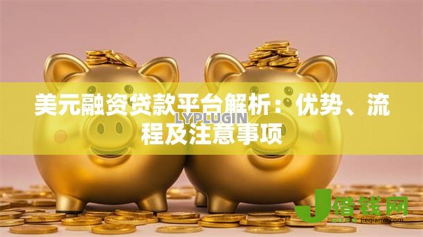 美元融资贷款平台解析:优势、流程及注意事项 美元融资贷款平台解析:优势、流程及注意事项