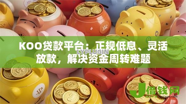 KOO贷款平台：正规低息、灵活放款，解决资金周转难题