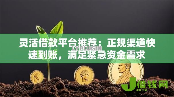 灵活借款平台推荐:正规渠道快速到账,满足紧急资金需求 灵活借款平台推荐:正规渠道快速到账,满足紧急资金需求