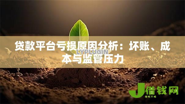 贷款平台亏损原因分析：坏账、成本与监管压力