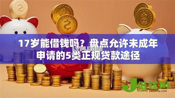 17岁能借钱吗?盘点允许未成年申请的5类正规贷款途径 17岁能借钱吗?盘点允许未成年申请的5类正规贷款途径