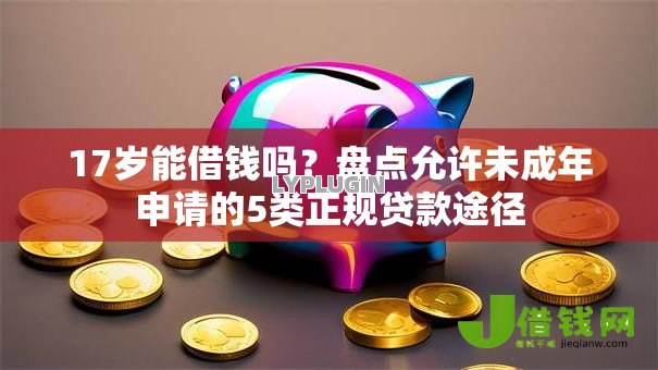 17岁能借钱吗?盘点允许未成年申请的5类正规贷款途径 17岁能借钱吗?盘点允许未成年申请的5类正规贷款途径
