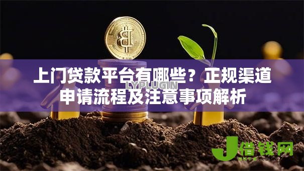 上门贷款平台有哪些？正规渠道申请流程及注意事项解析