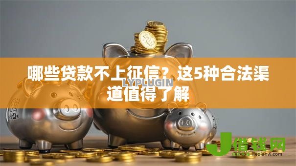 哪些贷款不上征信?这5种合法渠道值得了解 哪些贷款不上征信?这5种合法渠道值得了解