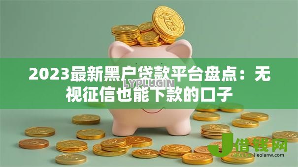 2023最新黑户贷款平台盘点：无视征信也能下款的口子