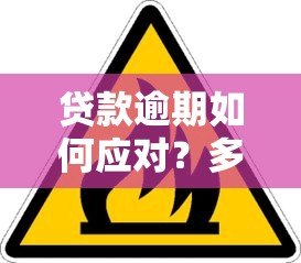 贷款逾期如何应对？多家平台风险预警与解决指南