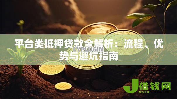 平台类抵押贷款全解析：流程、优势与避坑指南