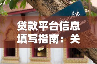 贷款平台信息填写指南:关键要点与避坑技巧 贷款平台信息填写指南:关键要点与避坑技巧