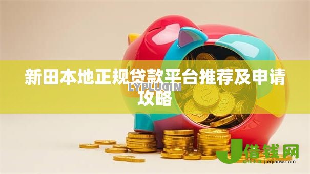 新田本地正规贷款平台推荐及申请攻略 新田本地正规贷款平台推荐及申请攻略