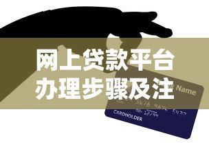 网上贷款平台办理步骤及注意事项全解析
