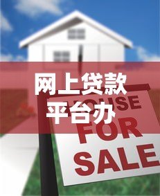 网上贷款平台办理步骤及注意事项全解析
