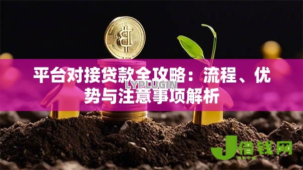 平台对接贷款全攻略：流程、优势与注意事项解析