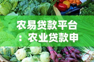 农易贷款平台：农业贷款申请条件与操作指南