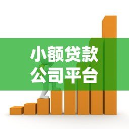 小额贷款公司平台解析：如何选择安全可靠的借贷渠道