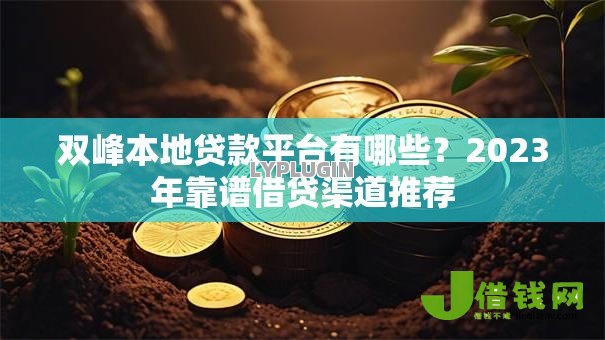双峰本地贷款平台有哪些?2023年靠谱借贷渠道推荐 双峰本地贷款平台有哪些?2023年靠谱借贷渠道推荐