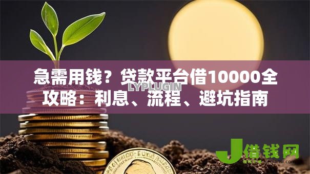 急需用钱?贷款平台借10000全攻略:利息、流程、避坑指南 急需用钱?贷款平台借10000全攻略:利息、流程、避坑指南