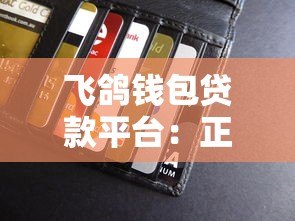 飞鸽钱包贷款平台：正规持牌机构，最快10分钟放款到账