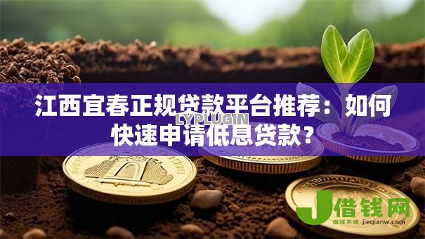 江西宜春正规贷款平台推荐：如何快速申请低息贷款？