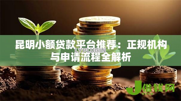 昆明小额贷款平台推荐：正规机构与申请流程全解析