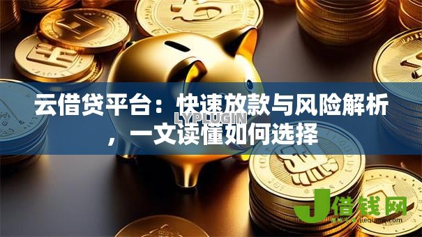 云借贷平台：快速放款与风险解析，一文读懂如何选择