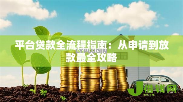 平台贷款全流程指南：从申请到放款最全攻略