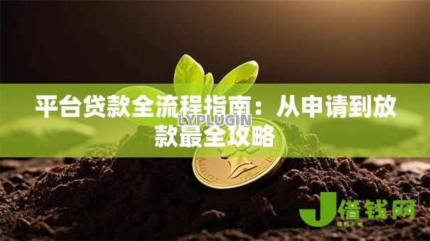 平台贷款全流程指南：从申请到放款最全攻略