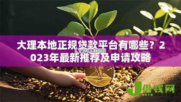 大理本地正规贷款平台有哪些？2023年最新推荐及申请攻略