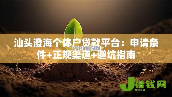 汕头澄海个体户贷款平台：申请条件+正规渠道+避坑指南
