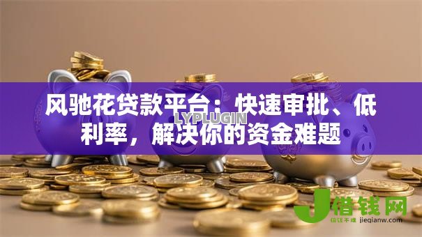 风驰花贷款平台：快速审批、低利率，解决你的资金难题