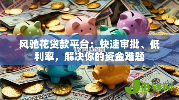 风驰花贷款平台：快速审批、低利率，解决你的资金难题