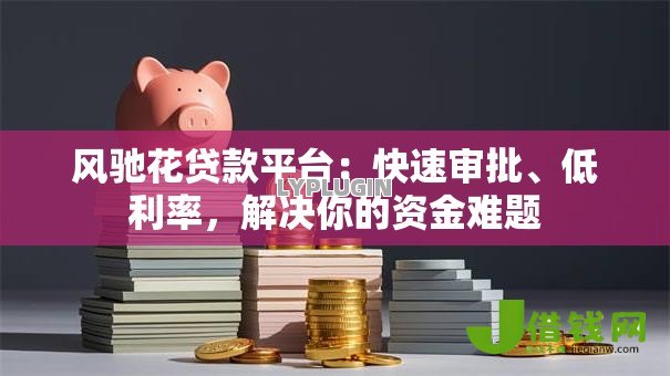 风驰花贷款平台：快速审批、低利率，解决你的资金难题