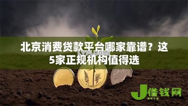 北京消费贷款平台哪家靠谱?这5家正规机构值得选 北京消费贷款平台哪家靠谱?这5家正规机构值得选