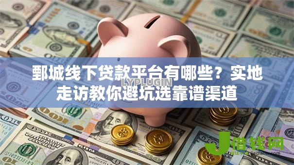 鄄城线下贷款平台有哪些？实地走访教你避坑选靠谱渠道