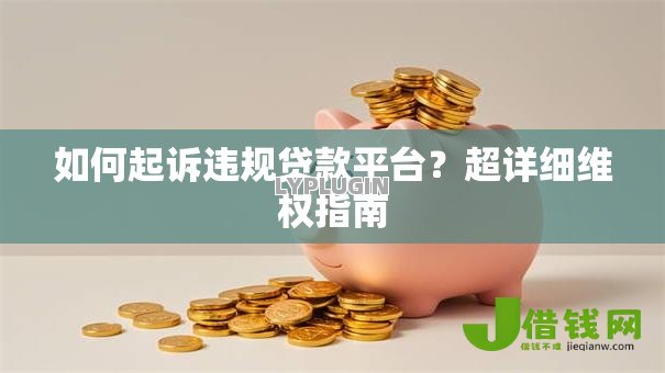 如何起诉违规贷款平台?超详细维权指南 如何起诉违规贷款平台?超详细维权指南