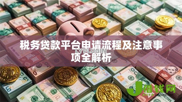 税务贷款平台申请流程及注意事项全解析