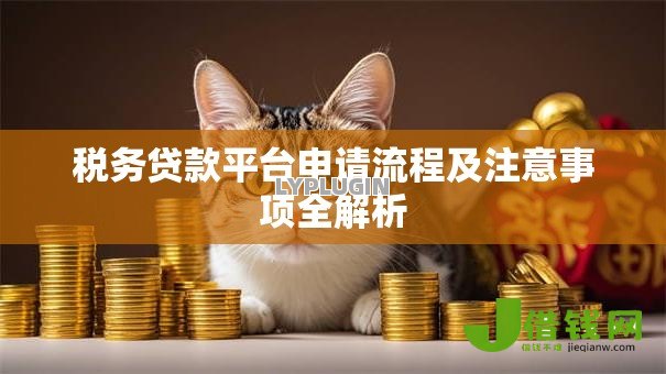 税务贷款平台申请流程及注意事项全解析