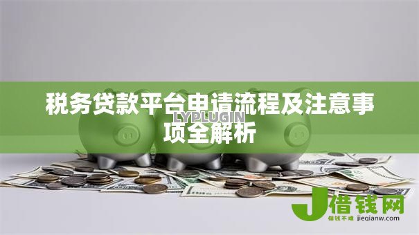 税务贷款平台申请流程及注意事项全解析