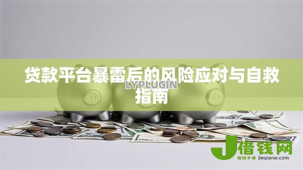 贷款平台暴雷后的风险应对与自救指南 贷款平台暴雷后的风险应对与自救指南