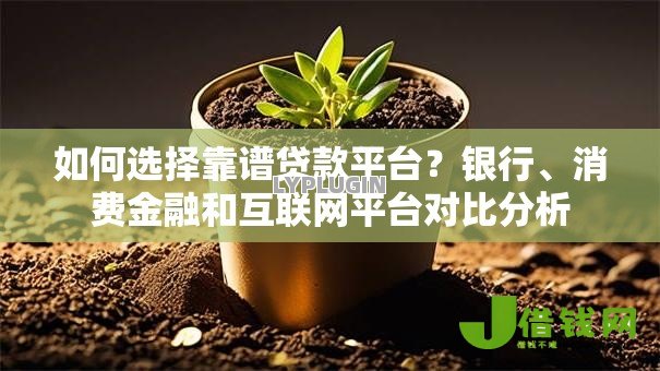 如何选择靠谱贷款平台?银行、消费金融和互联网平台对比分析 如何选择靠谱贷款平台?银行、消费金融和互联网平台对比分析