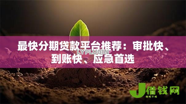 最快分期贷款平台推荐：审批快、到账快、应急首选