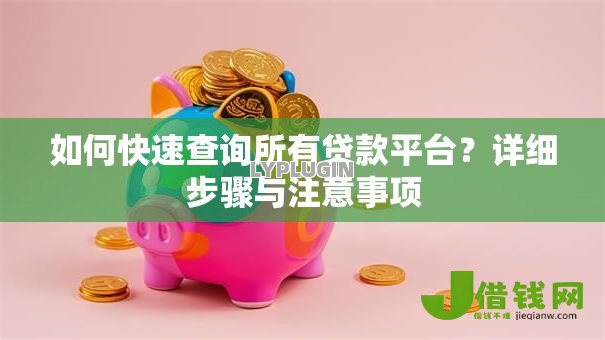 如何快速查询所有贷款平台?详细步骤与注意事项 如何快速查询所有贷款平台?详细步骤与注意事项