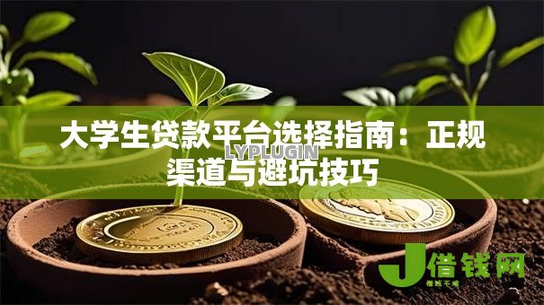 大学生贷款平台选择指南:正规渠道与避坑技巧 大学生贷款平台选择指南:正规渠道与避坑技巧