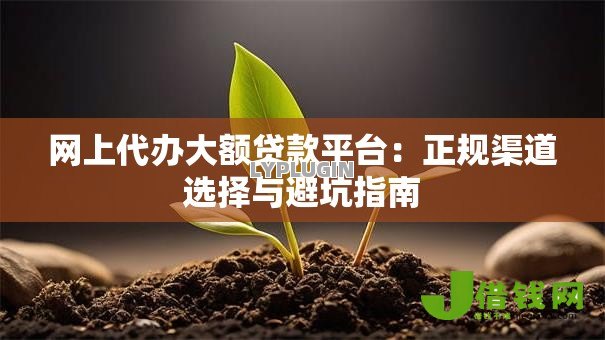 网上代办大额贷款平台:正规渠道选择与避坑指南 网上代办大额贷款平台:正规渠道选择与避坑指南