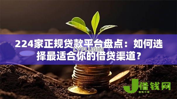 224家正规贷款平台盘点:如何选择最适合你的借贷渠道? 224家正规贷款平台盘点:如何选择最适合你的借贷渠道?