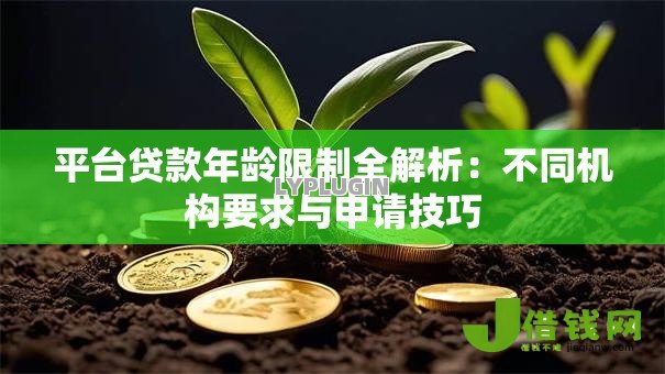 平台贷款年龄限制全解析：不同机构要求与申请技巧