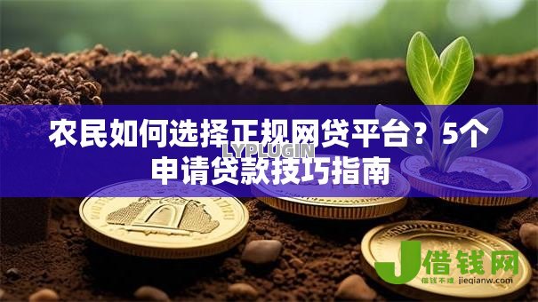 农民如何选择正规网贷平台？5个申请贷款技巧指南